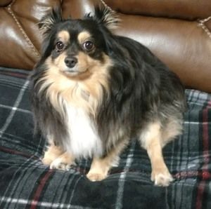 Meet your Posher, Betty